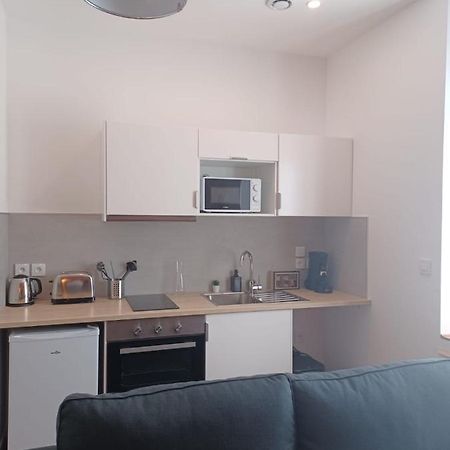 Mazamet - Studio Neuf Et Moderne En Centre-Ville Екстериор снимка